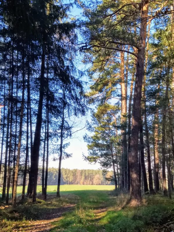 Impressum p-m-c-p.de Potenzial Mensch Coaching