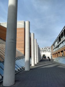 Potenzial Mensch Coaching personzentriert